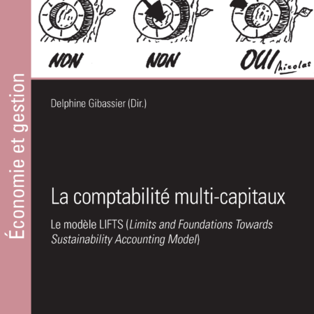 La comptabilité multi-capitaux