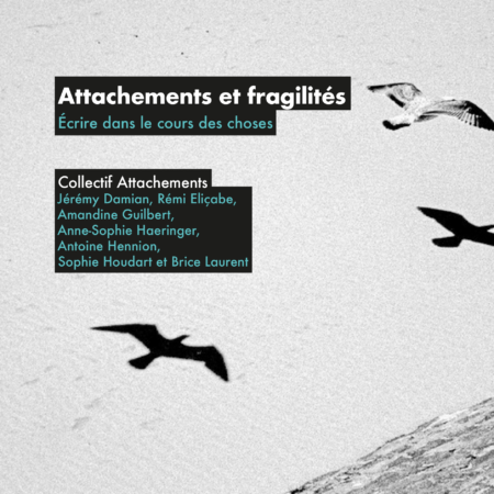 Attachements et fragilités