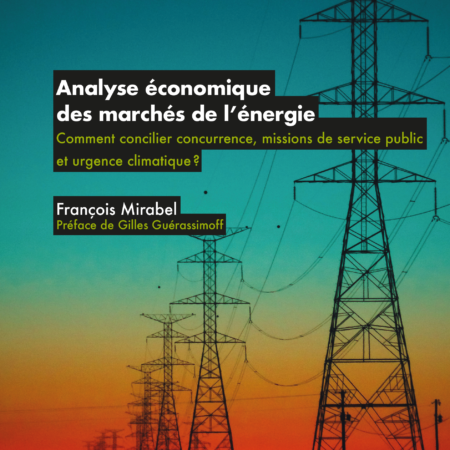 Analyse économique des marchés de l'énergie